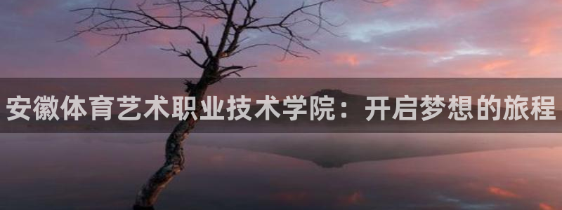 J9官网下载是干嘛的公司:安徽体育艺术职业技术学院:开启梦想