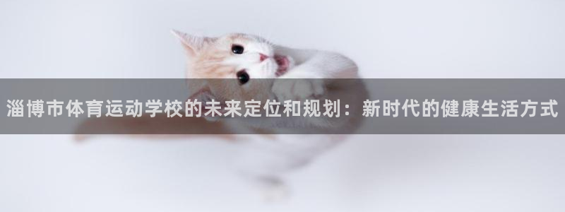 J9官方正版app娱乐:淄博市体育运动学校的未来定位和规划:
