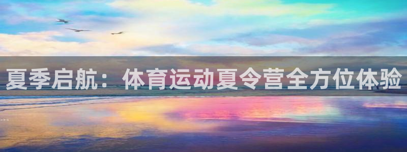 J9官方正版app开户:夏季启航:体育运动夏令营全方位体验